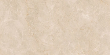 Керамогранит EXM301 60x120x9 Непол.Рект. (Керамический гранит) #6