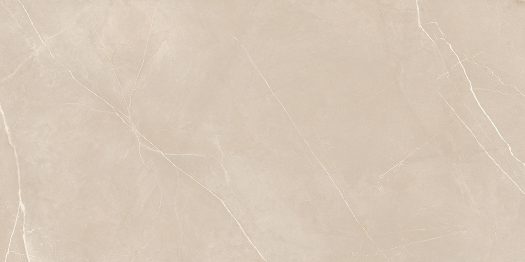 Керамогранит NL01 60x120x9 Непол.Рект. (Керамический гранит)-10