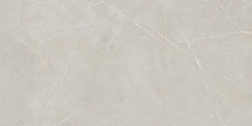 Керамогранит NL02 60x120x9 Полир. (Керамический гранит) #4