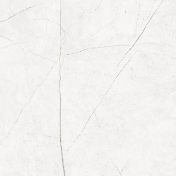 Керамогранит NL00 80x80x10 Непол.Рект. (Керамический гранит) #4
