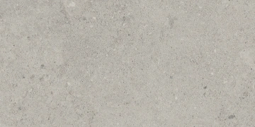 Керамогранит NP01 30,6x60,9x8 Непол. (Керамический гранит) #9