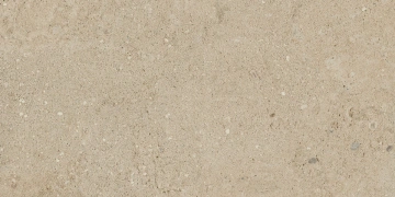 Керамогранит NP02 30,6x60,9x8 Непол. (Керамический гранит) #5