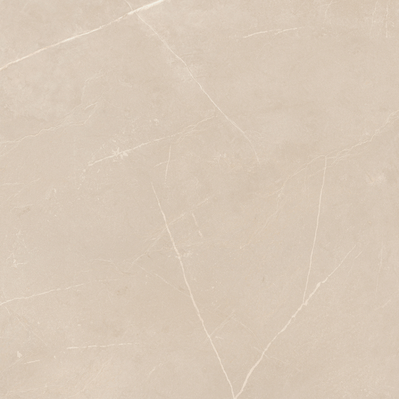 NL01 60x60x10 Полир. (Керамический гранит)