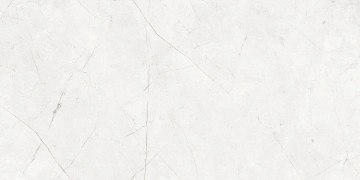 Керамогранит NL00 60x120x9 Полир. (Керамический гранит) #3