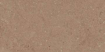 Керамогранит NP03 30,6x60,9x8 Непол. (Керамический гранит) #12