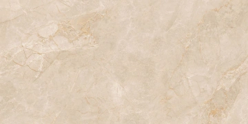 Керамогранит EXM301 60x120x9 Непол.Рект. (Керамический гранит) #3
