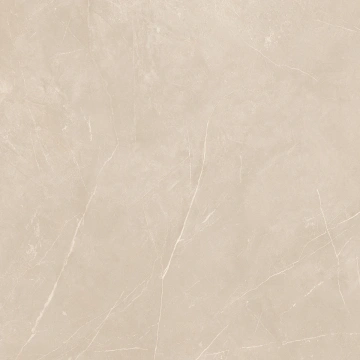 Керамогранит NL01 60x60x9 Полир. (Керамический гранит) #16