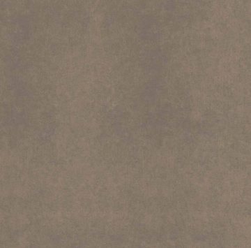 Керамогранит CA04 60x60x9 Непол.Рект. (Керамический гранит)_6